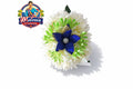 BROCHE-113
