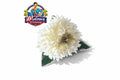 BROCHE-123