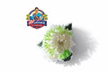 BROCHE-124