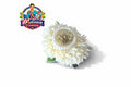 BROCHE-125